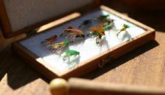 More information about "The fly box"