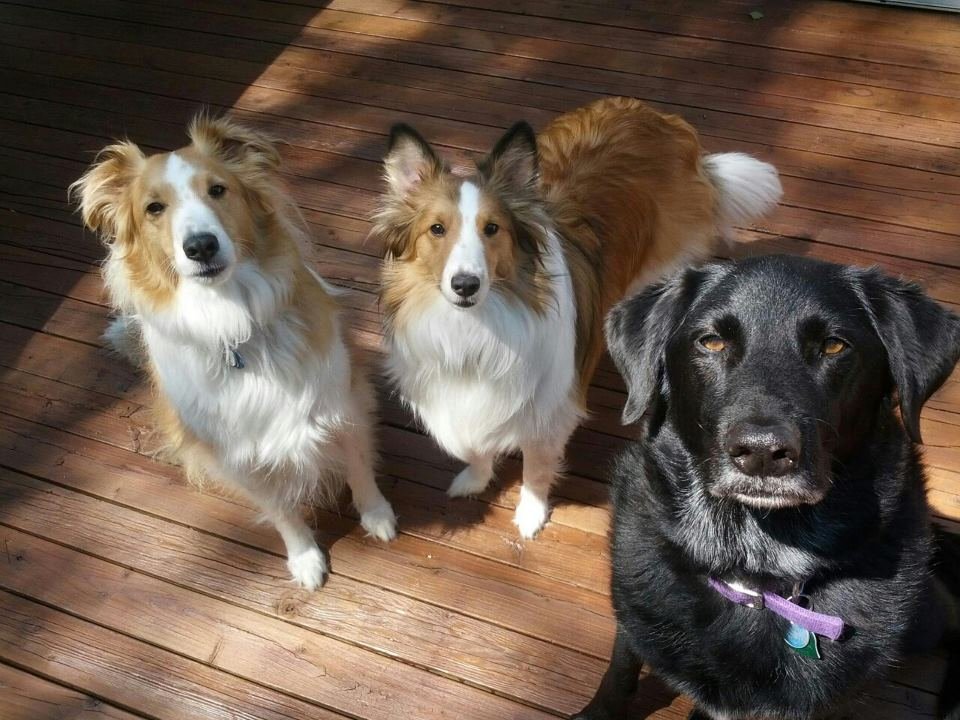 Allthree.jpg
