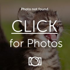 DSCN1290_zpsf9d35f8d.jpg