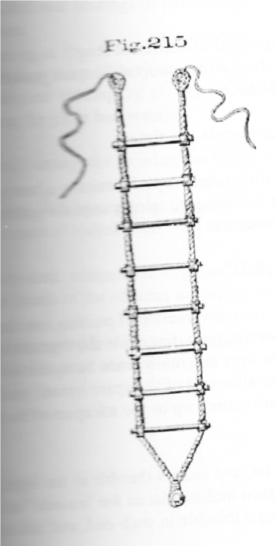 Jacob's Ladder.png