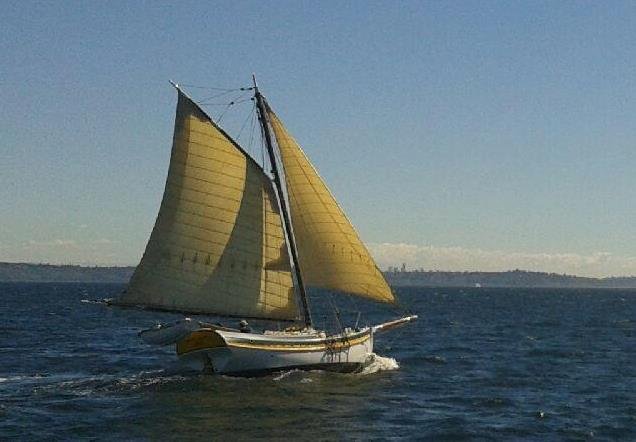 sails.JPG