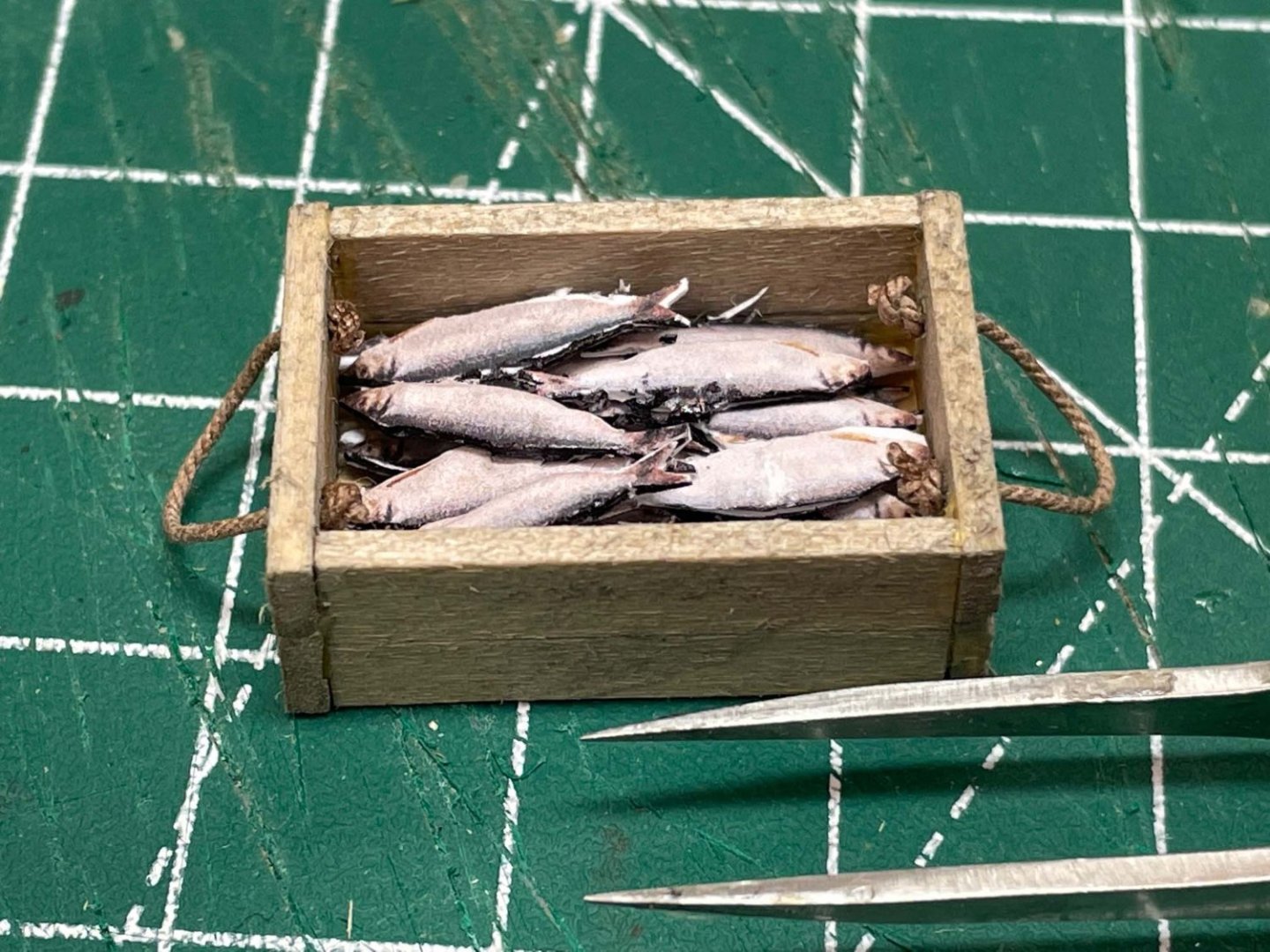herring in a box.jpg