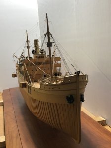 IMG_3778.jpg