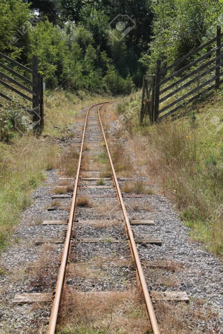 88578963-a-length-of-vintage-narrow-gauge-railway-train-track.thumb.jpg.1ee98b5284e0737c8212e9530a076a43.jpg