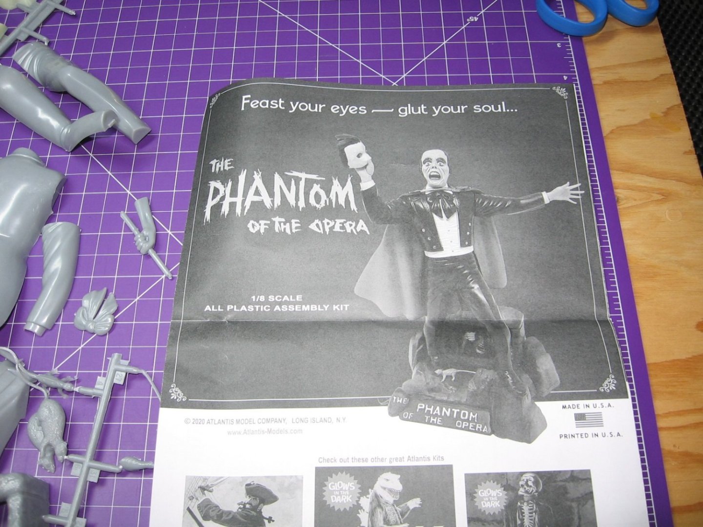 Phantom (4).JPG