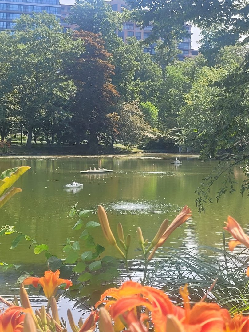 Models in the pond.jpg