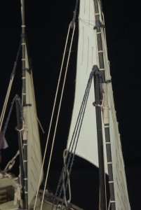 D7200_20240706_144814_8677.jpg