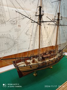 IMG_20241117_091448.jpg