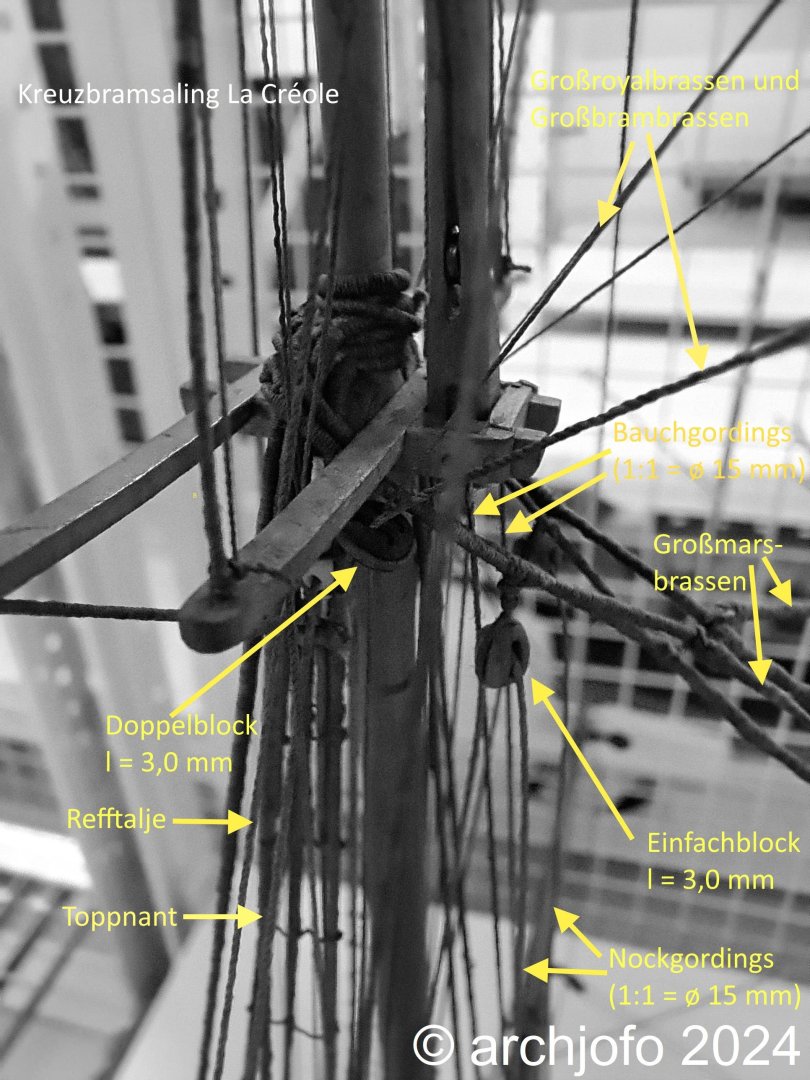 Kreuzstengetop_LaCreole_sw.thumb.jpg.5c480f07ebe4d6f45d10b1646b796977.jpg