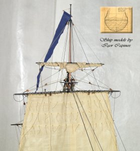 sp035.jpg