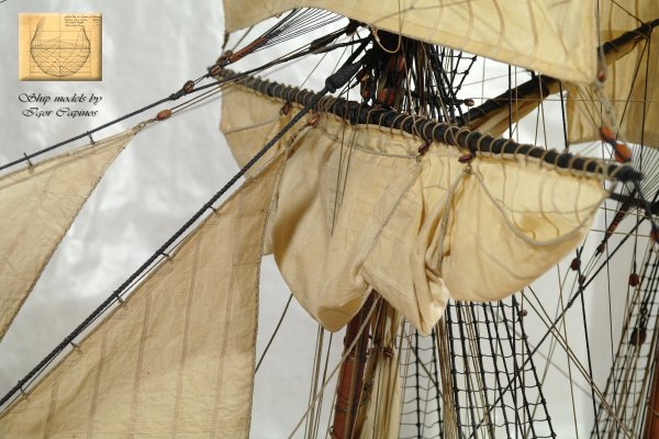 sp040.jpg