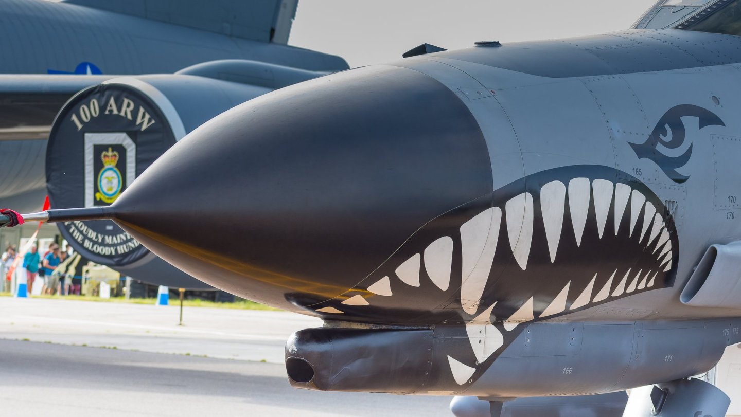 064 Sharkey.jpg