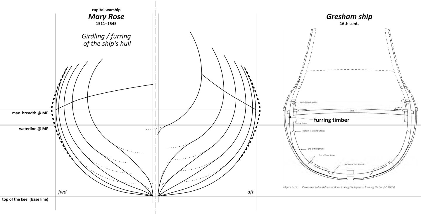 08.girdling-furring.thumb.jpg.a0b02323427286779fd1299b9dd7d4f7.jpg