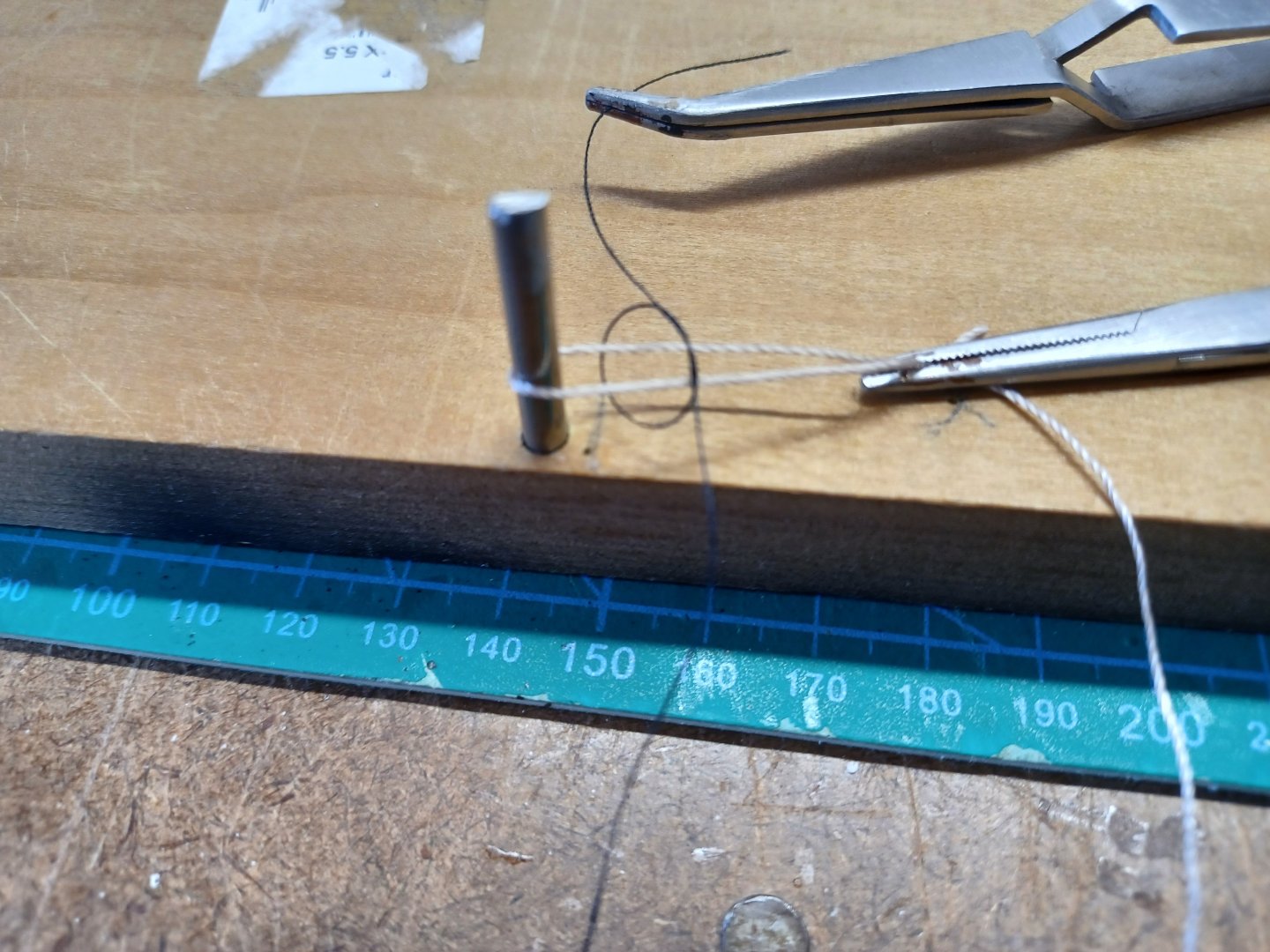 20250426_094327.jpg