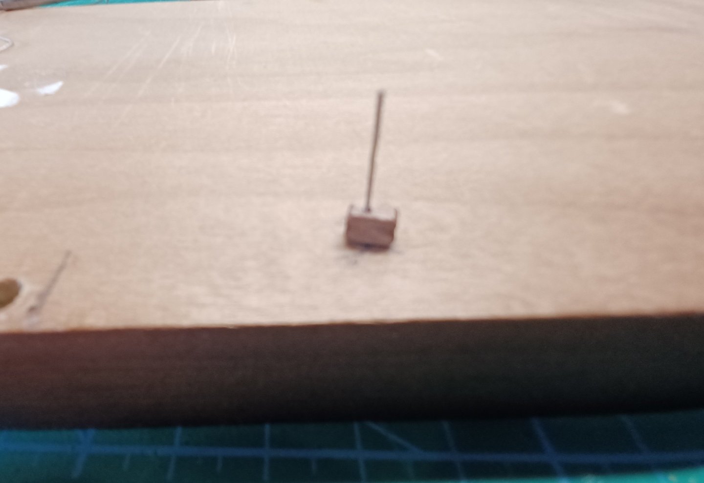 20250426_095040.jpg