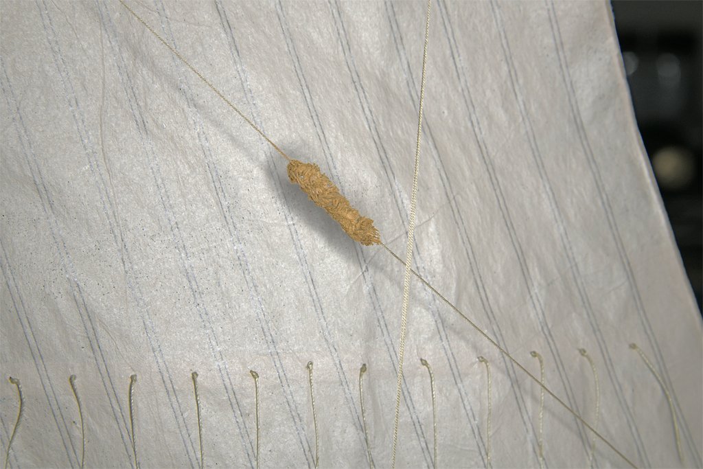 Baggywrinkles3.jpg.9f6405b836b9b648186923f4c1c736e1.jpg