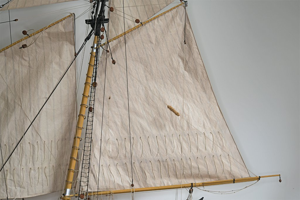 Baggywrinkles4.jpg.021559fc4b75a9ccf206c4348125a7ad.jpg