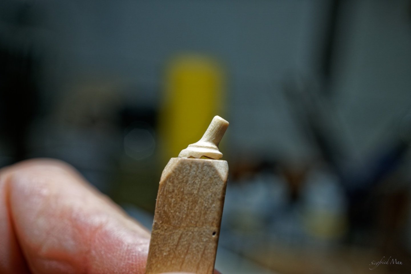 DSC03310.thumb.jpg.c5212bf5f023b8265c42c38397c7e22d.jpg