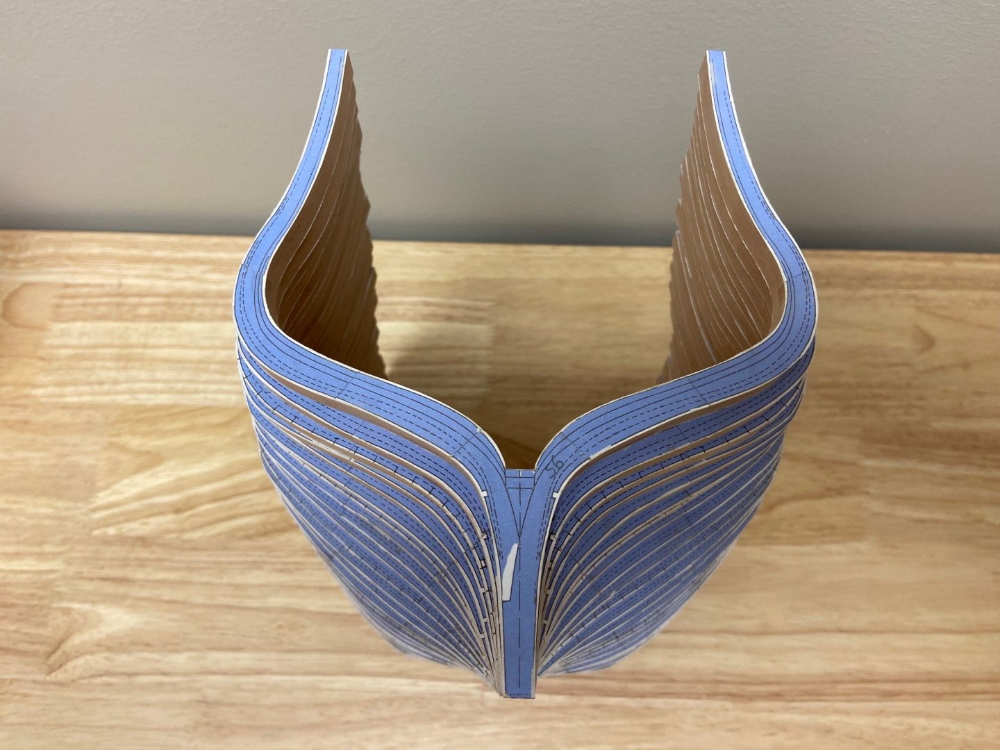 Frames Top View.jpg