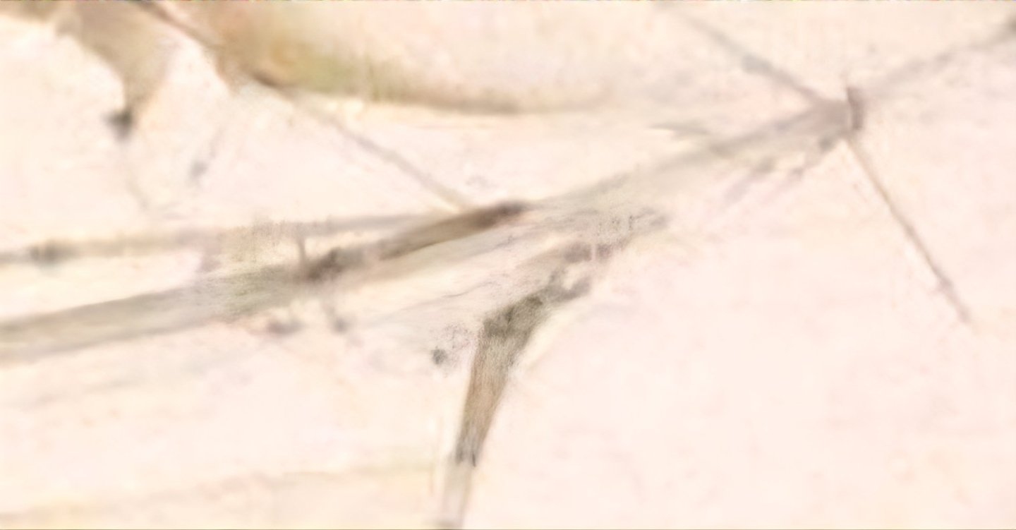 Screenshot_20250428_174407_Chrome.jpg
