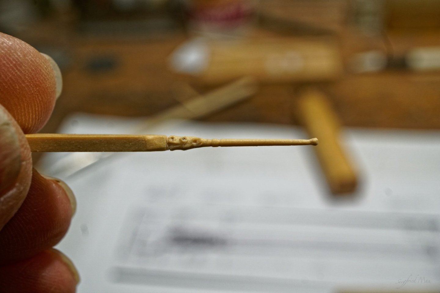 DSC03406.thumb.jpg.fa0bd71ab36ff992def2122cabe60699.jpg