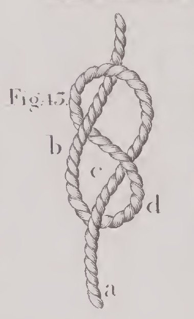 Figure_of_eight_Lever.jpg.4f9e7853d13a23c5dd0414a3ec2ead15.jpg