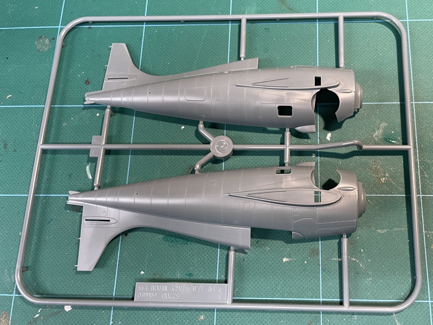 kitfuselage.thumb.JPEG.90865eea0f40b1fd859b22c6264483dc.JPEG