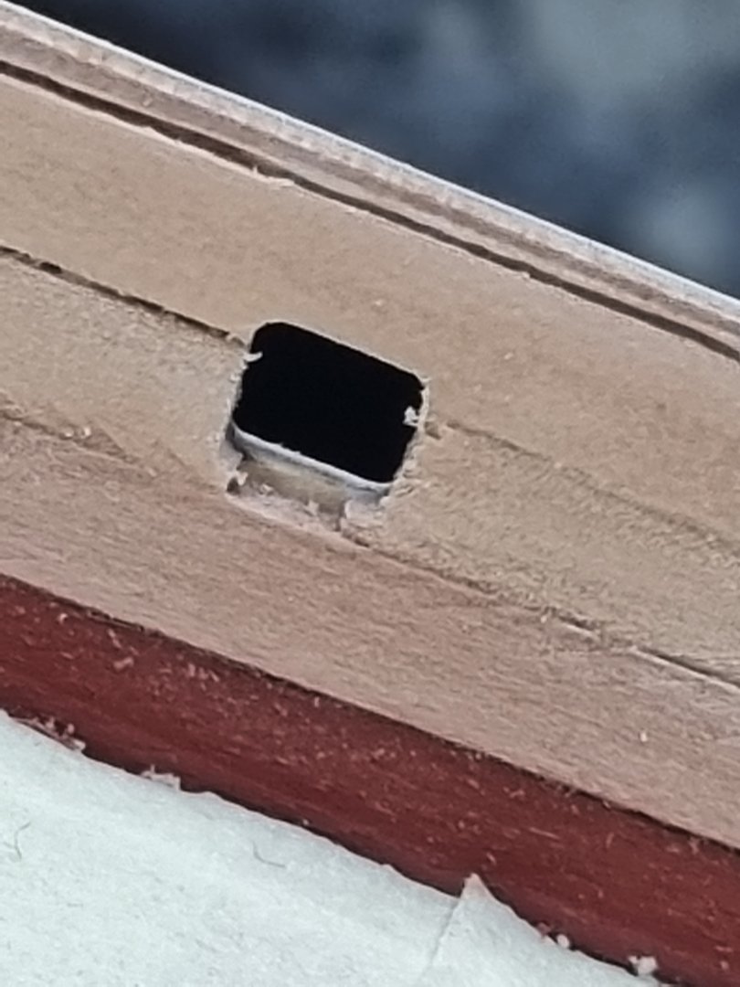 20211229_130444.thumb.jpg.ad0fc5b92768e67e03fd12989e72cb4b.jpg