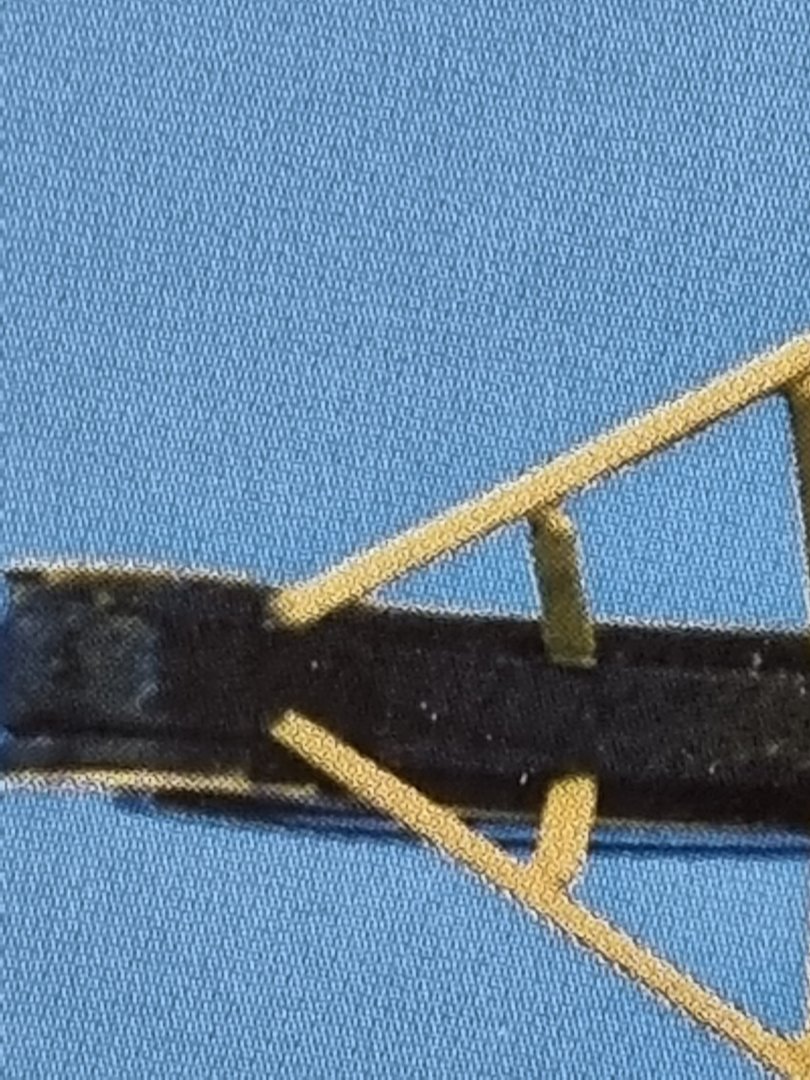 20220317_105838.thumb.jpg.ccd3eec084ac64a421bd6c5b5c90c62a.jpg
