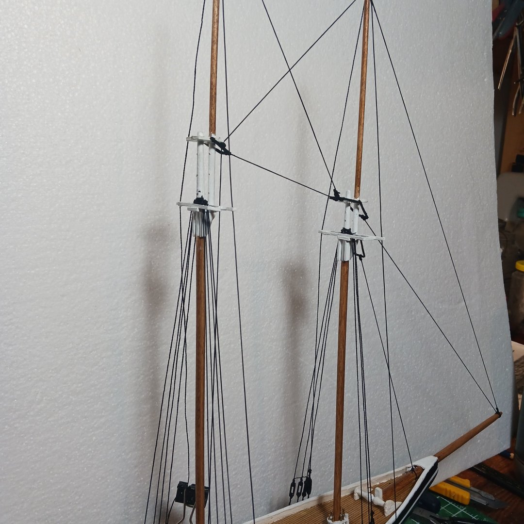 20250715_122327.jpg