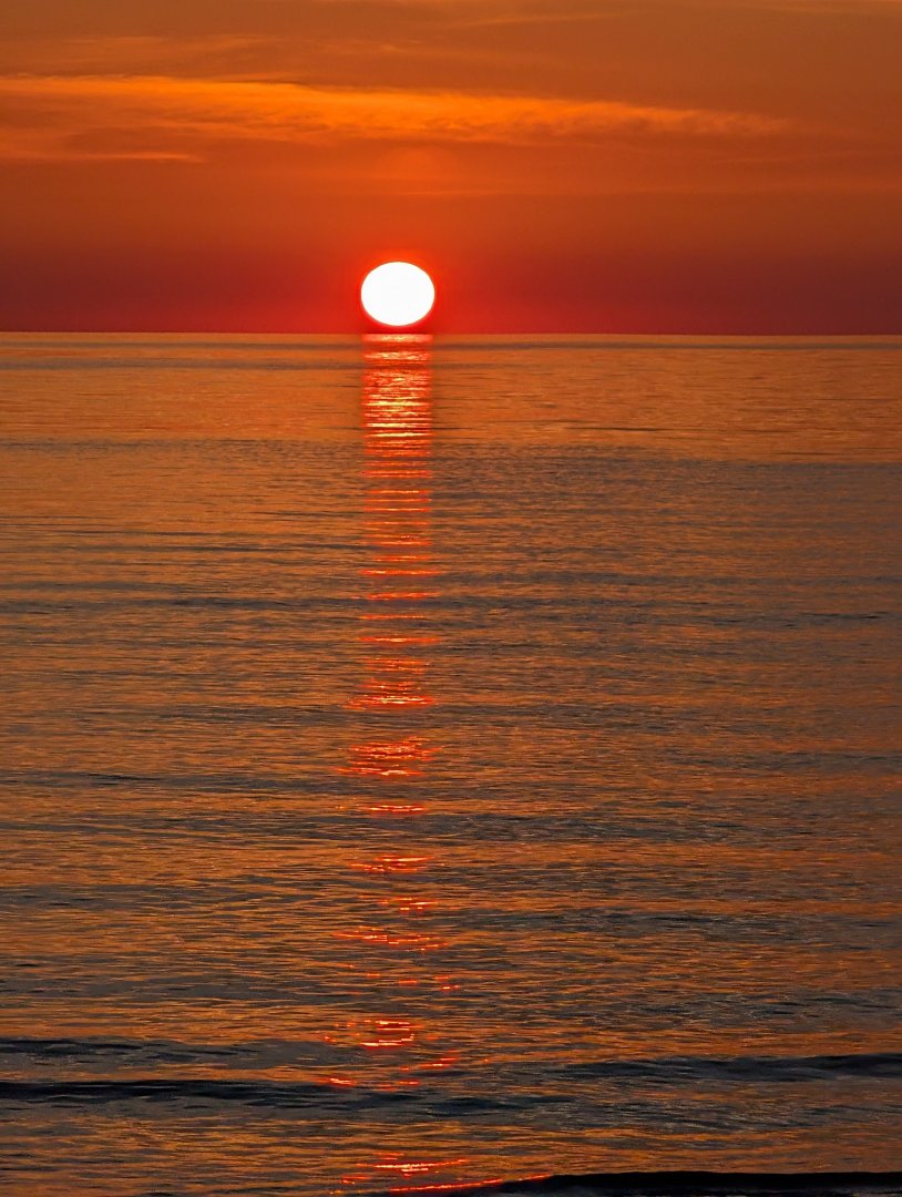 PXL_20250723_005729814.RAW-01.COVER.thumb.jpg.fe59f549f9dc14a824d047662e3b84c4.jpg
