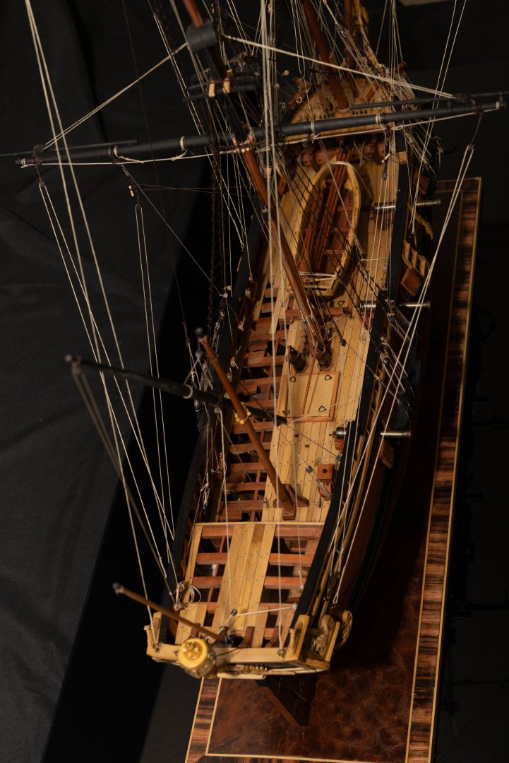 LR.3500-2957.jpg