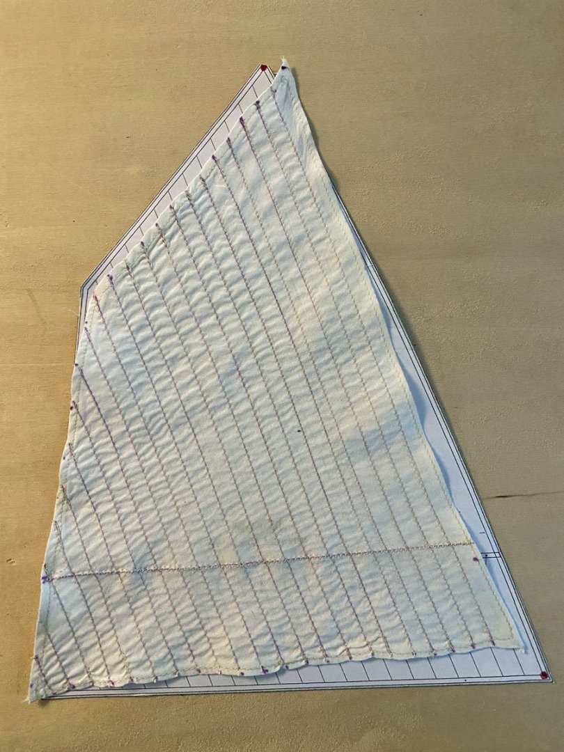 mainsail2.thumb.jpg.c65dcbd2b4ffc6838b96cd9f36675544.jpg