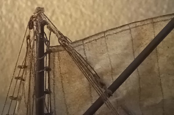 20250824_073537.jpg