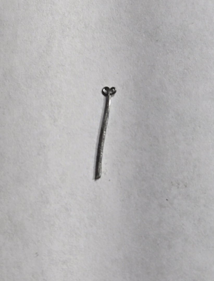 20250908_145159.thumb.jpg.cb62febdedc5df397b1482abaffa3847.jpg