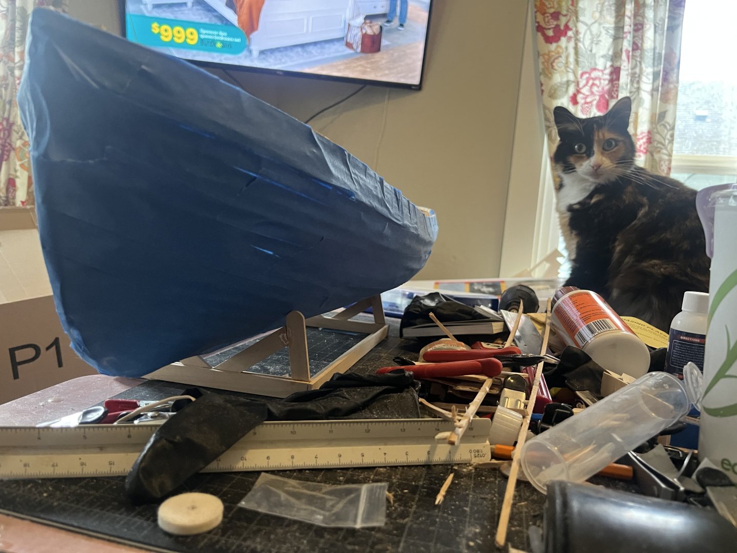 IMG_3308.jpeg
