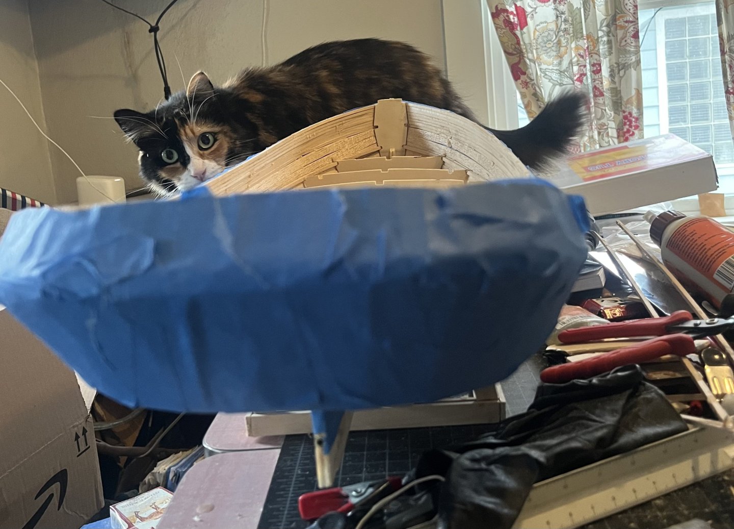 IMG_3309.jpeg