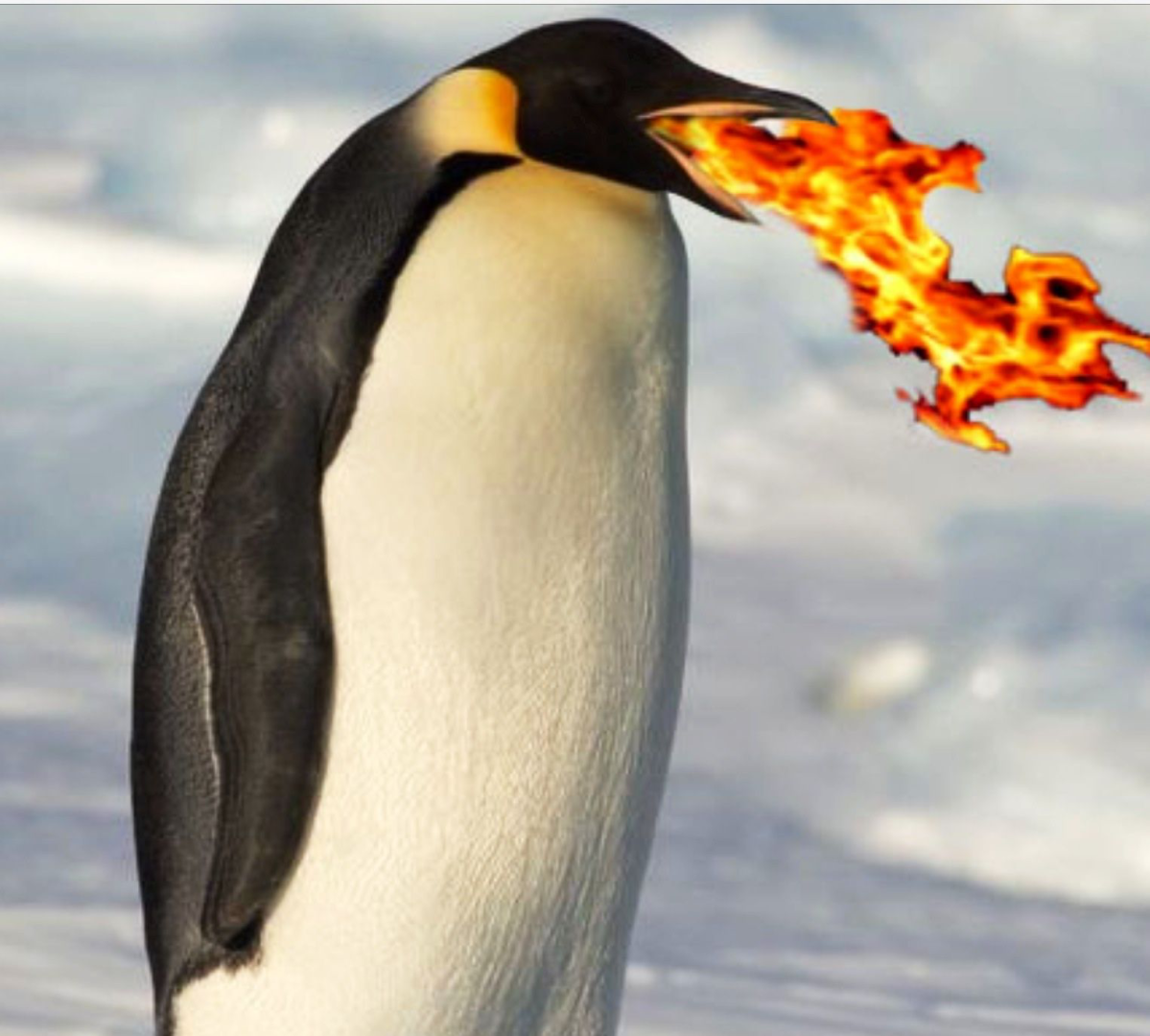 image.thumb.png.29849cb72a304f7c2a680970a7458d68.png