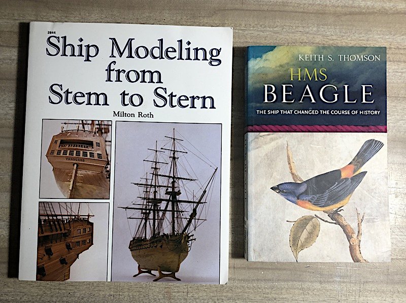 HMS-BeagleBuild21.jpg.ecfe996f7a835e0505b5b0a585e1f25d.jpg