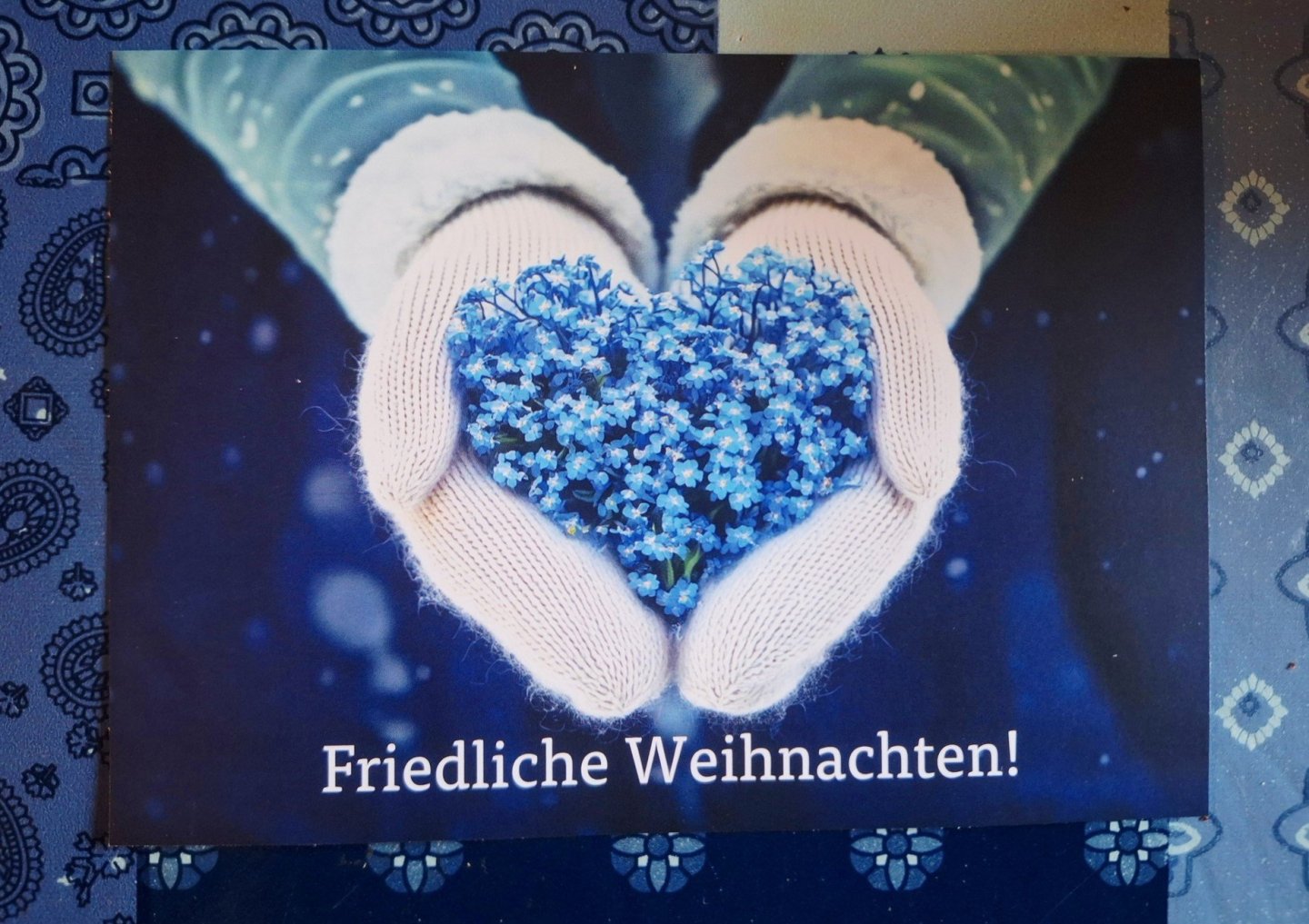 friedliche Weihnachten 2025.JPG