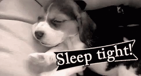 puppy-sleep-tight.gif.9b0bf901faef373d7a4d19f1c57d205b.gif