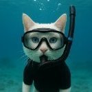 The Cat From James Bond